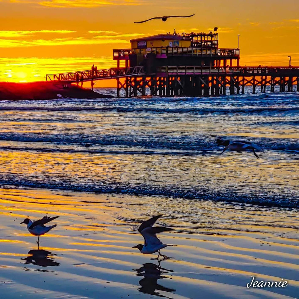 Sunrise at the 61st Street Fishing Pier